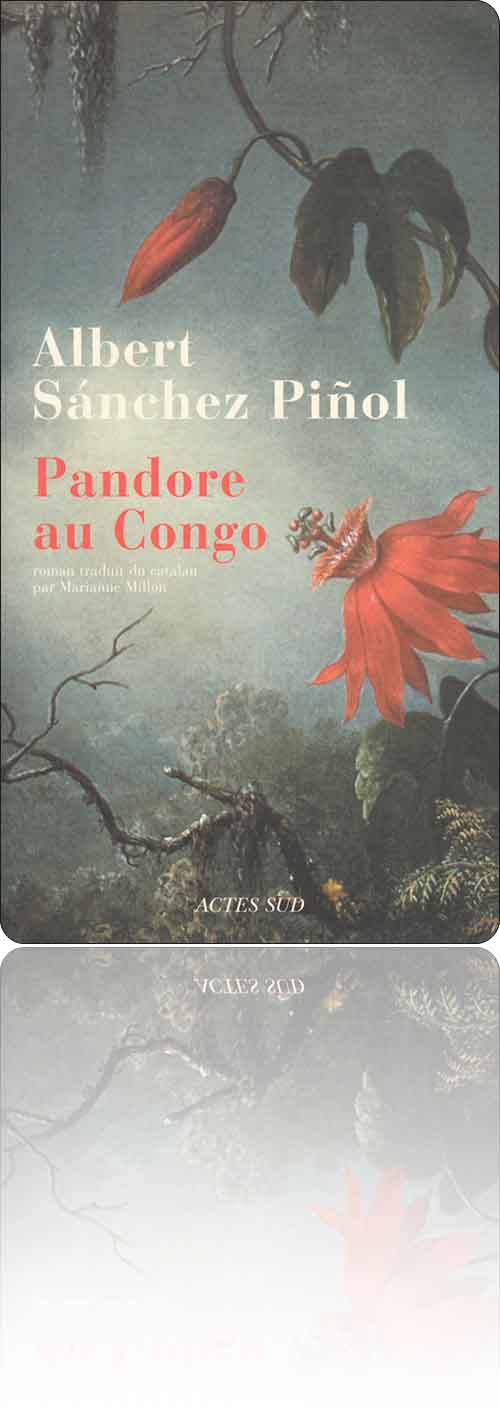 couverture représentant un sous-bois coloré et exotique dans la brume