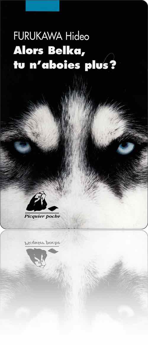 couverture présentant en gros plan la photographie des yeux bleus d'un husky