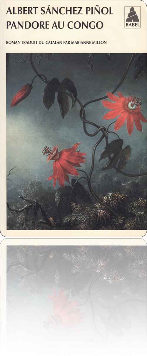 couverture représentant un sous-bois coloré et exotique dans la brume