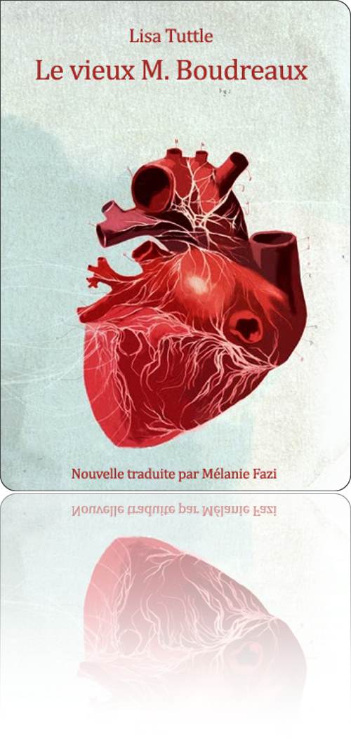 couverture représentant un cœur au sens anatomique du terme