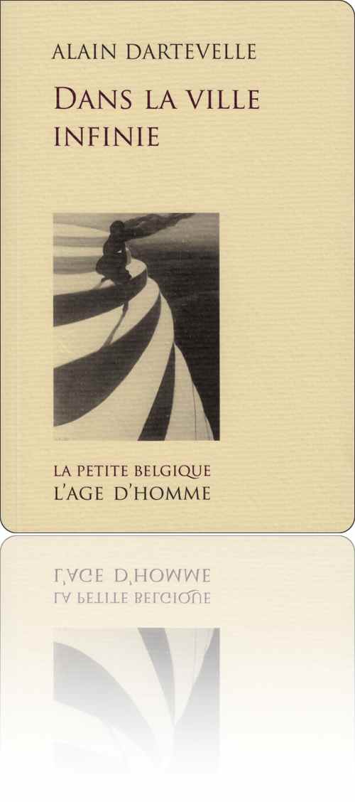 couverture représentant une femme de dos en équilibre instable sur un escalier pyramidal et vertigineux