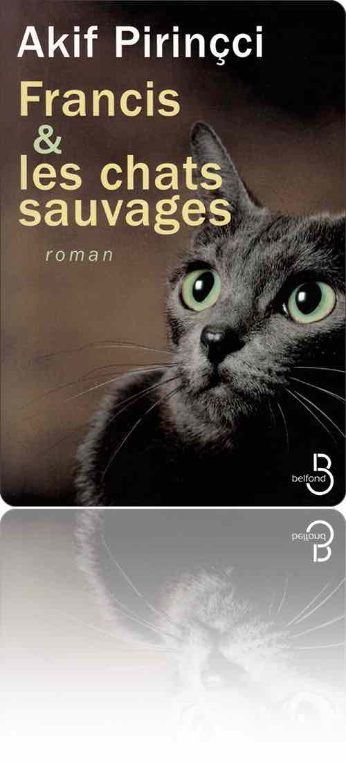 couverture présentant la photographie de la tête d'un chat noir qui a vu quelque chose