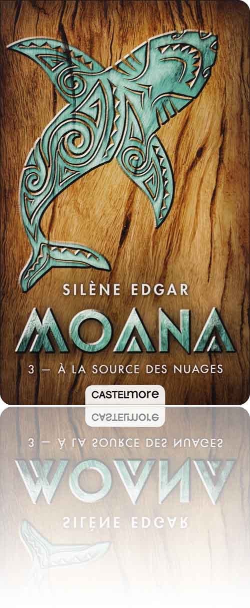 couverture représentant un cuivre forgé vert-de-gris sur bois en forme de requin