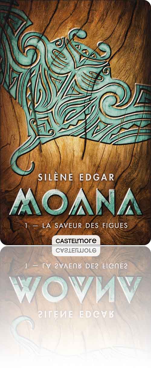 couverture représentant un cuivre forgé vert-de-gris sur bois en forme de chauve-souris