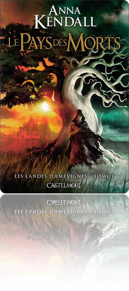 couverture représentant un garçon en semi-haillons au pied de l'arbre du passage entre la vie et la mort