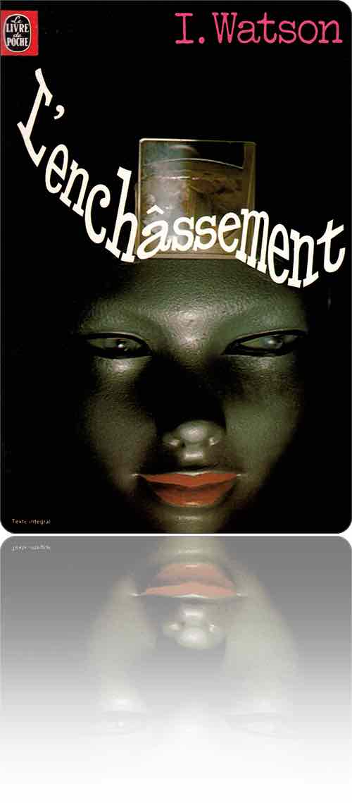 couverture présentant la photographie de la tête d'une statue asiatique sur laquelle est posé un fossile sous verre