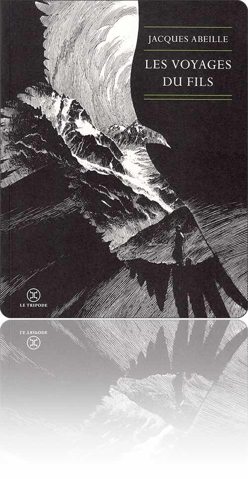 couverture en noir et blanc représentant un aigle noir surgissant du passé, un beau jour ou peut-être une nuit