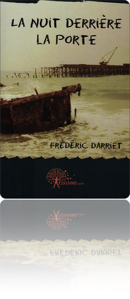 couverture présentant la photographie de quelques pontons en ruine sur une mer vert glauque près du port de Cotonou au Bénin vers 2005