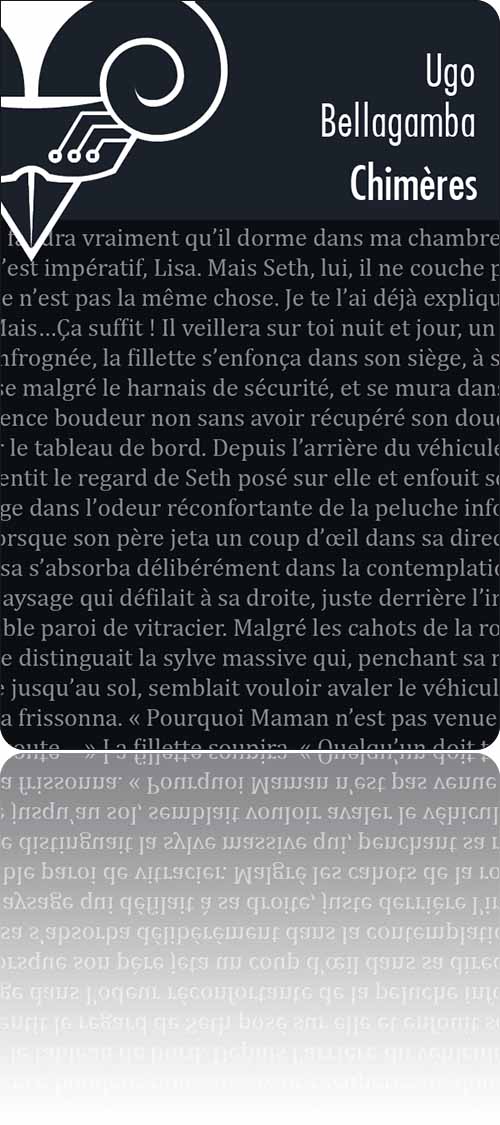 couverture typographique en réserve non illustrée