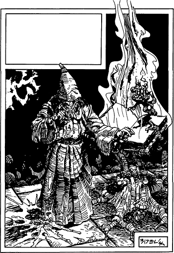 Dragon et microchips 1/3