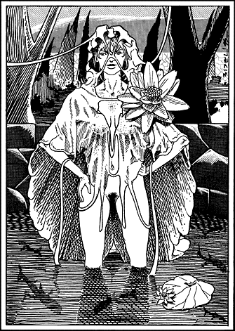 Dragon et microchips 2/3